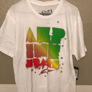 Brand new Alpine Stars shirt